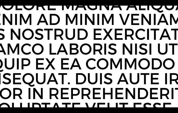 fontlab vi