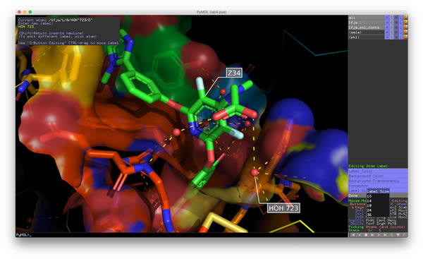 PyMOL