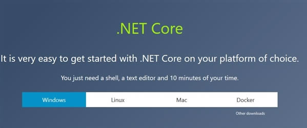 Microsoft .NET CoreԶ˹ٷ2024°ɫذװ