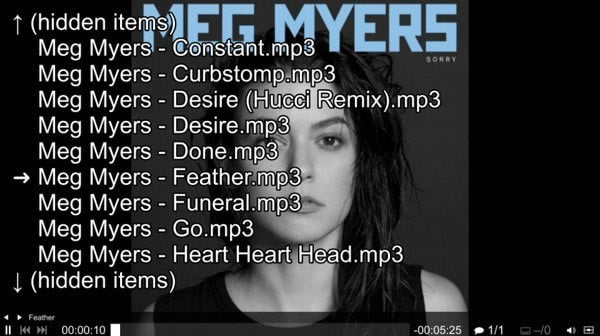 mpv net���Զ˹ٷ�����2024���°���ɫ������ذ�װ