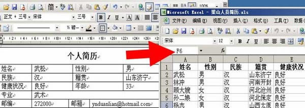Word文檔提取匯總工具電腦端官方正版2024最新版綠色免費下載安裝