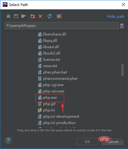 phpstorm2021ü