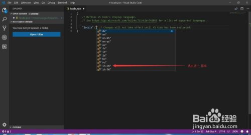 visual studio code2021