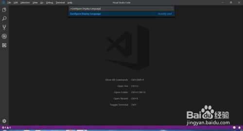 visual studio code2021