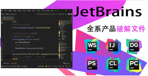 JetBrainsȫͰر