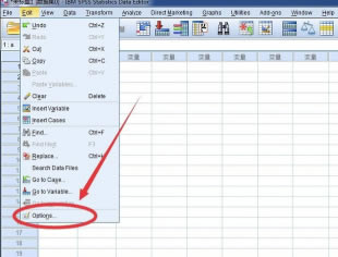 SPSS22رôĽ