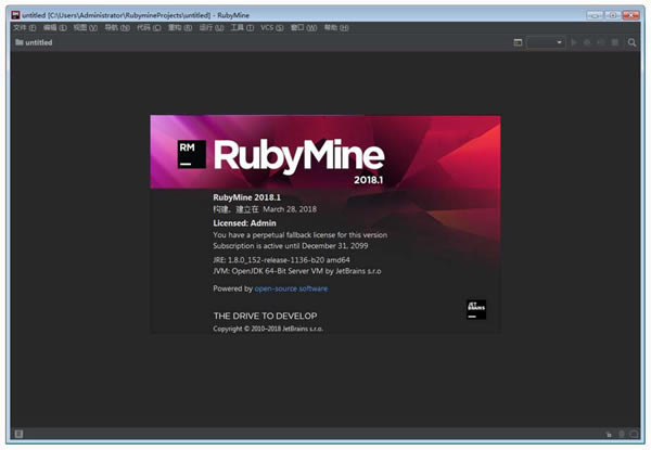 RubyMine 2020ر