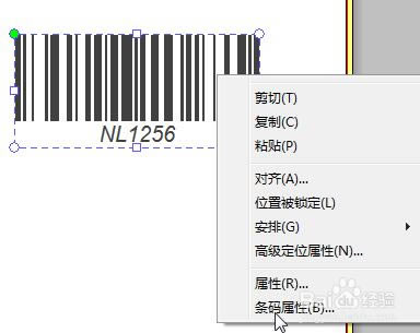 NiceLabel专业版使用方法截图2