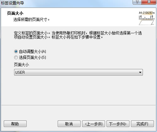 NiceLabel6ƽ漤Чıǩļ4
