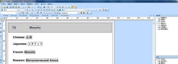 Codesoft使用方法截图