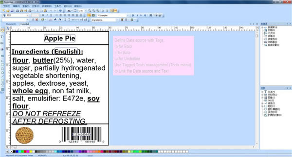 Codesoft特别版下载 第2张图片