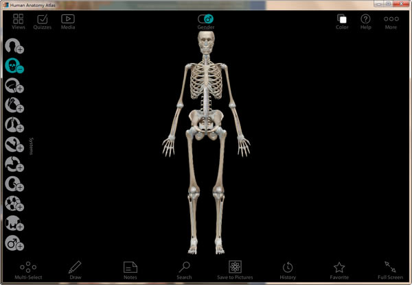 ��Human Anatomy Atlas Windows�ر�����ء�Human Anatomy Atlas Windows���İ� V2021 PC������
