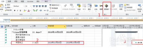 project��Ŀ��������