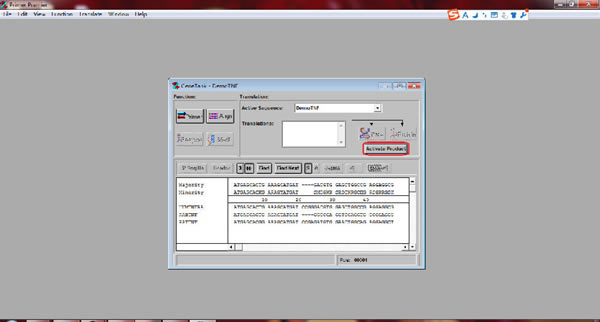 Primer Premier 6رءPrimer Premier 6 v6.24 ر-վ