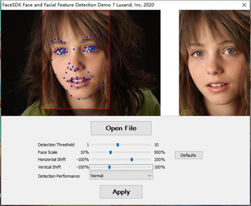 Luxand FaceSDK�ر���ͼ