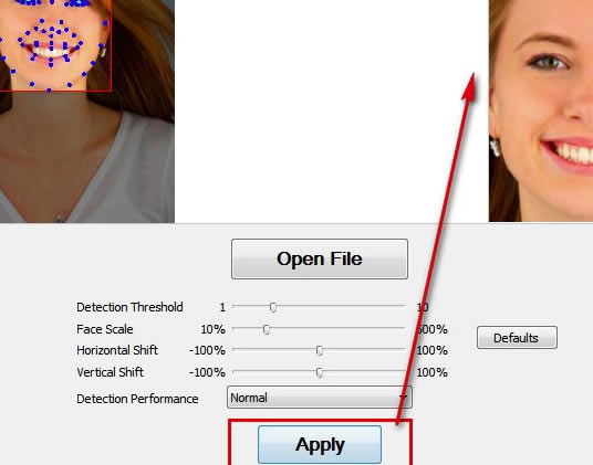 Luxand FaceSDK�ر��ʹ�÷���