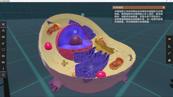 صVR3Dʵ