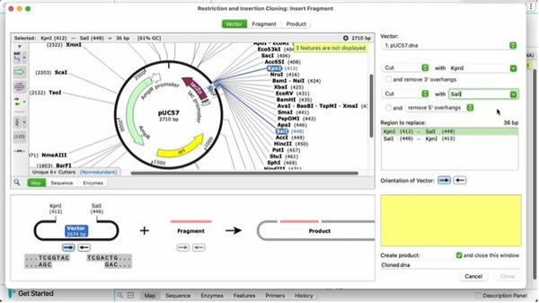 SnapGeneƽءSnapGeneƽ v7.1.05 pc