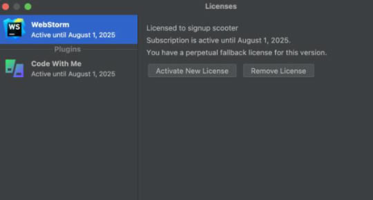 WebStorm 2022İ氲װ4