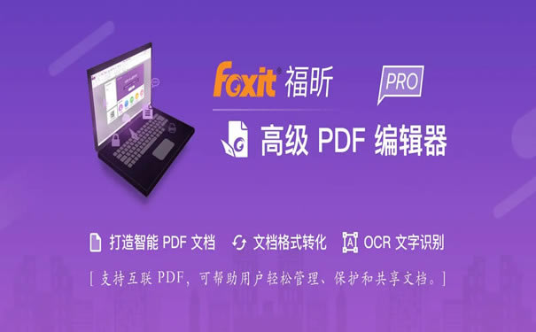 pdf༭V11ü1