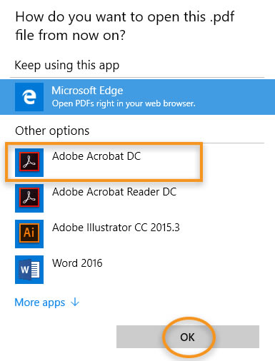 Acrobat Reader DCƽô޷༭4