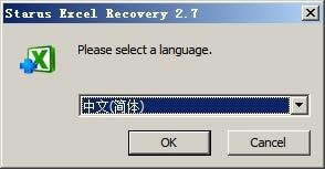 Starus Excel Recoveryر