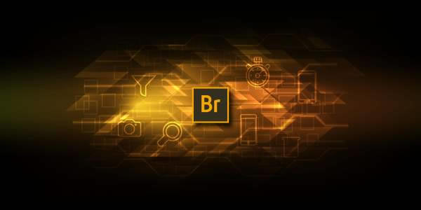 Adobe Bridge cc 2019[Դ]Adobe Bridge cc 2019 64bit ٷ汾