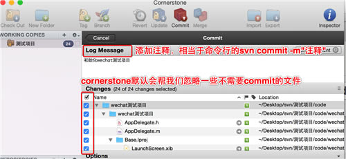 CornerStoneƽ桿CornerStone(SVN) v4.2.0 ƽ-վ