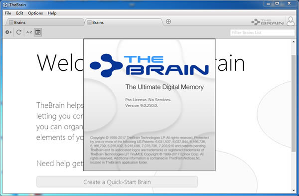 thebrainƽ桿Thebrain11(3D˼άͼ) v11.0.68 ƽ-վ