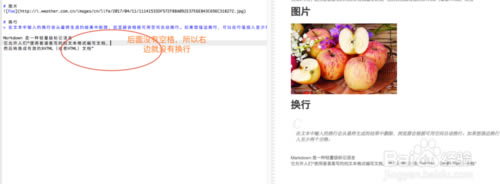 Markdown༭̳