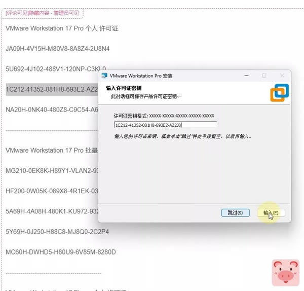 VMware Workstation Pro 17ƽ氲װ3
