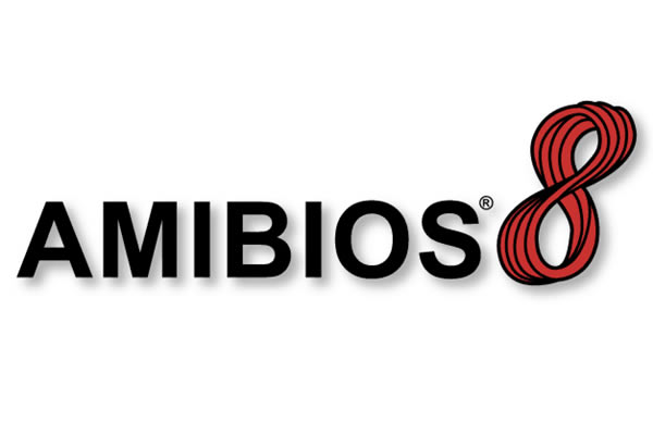 AMI BIOS