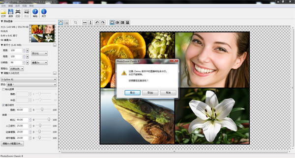 PhotoZoom Classicİ桿PhotoZoom Classicİ v8.0 pc