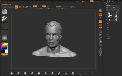 ZBrush°汾ݼͼ2