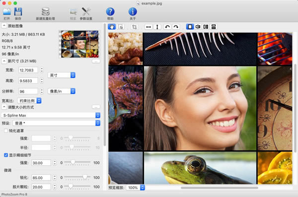 PhotoZoom pro 8ƻءPhotoZoom pro 8ƻ v2023 ѵpc
