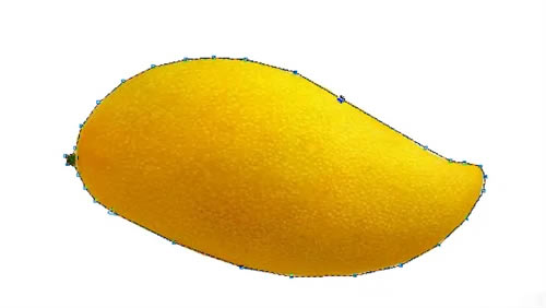 coreldrawοͼͼ4