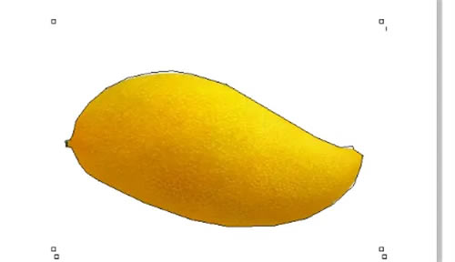 coreldrawοͼͼ7