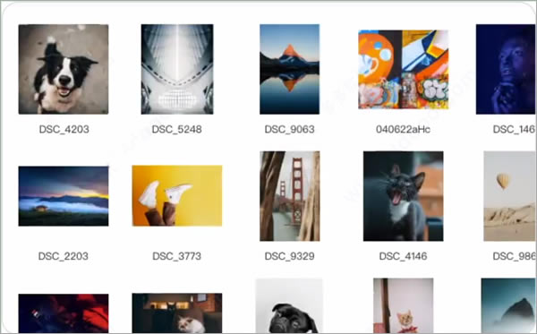 billfishزĹ°桿billfishزĹ° v2.21.0.1 pc