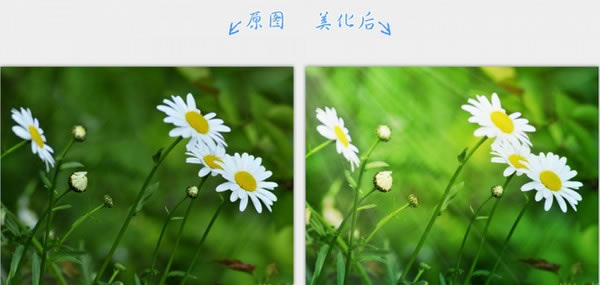 2345ͼٷʽ桿2345ͼٷʽ v10.9.0.9764 ٷ汾