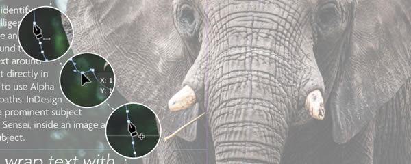 InDesign cc2022ر桿Adobe InDesign CC 2022ٶ Ѱ