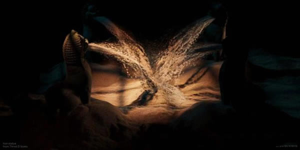 Houdini19ر2