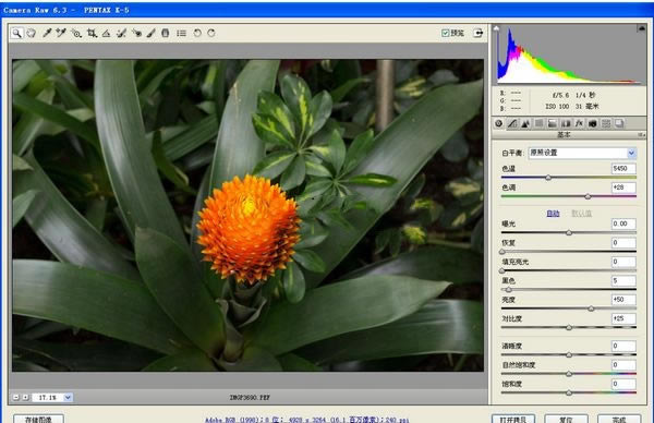 Adobe Camera Raw°ͼ2