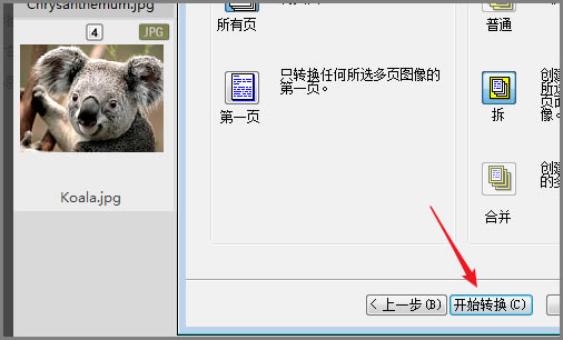 acdsee̻桿acdseeٷѰ v2021 ɫ