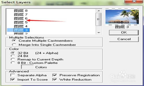 DirectorİءDirectorṩ v12.0 ر