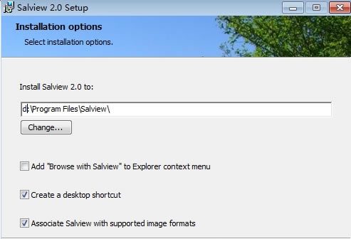 Salviewٷ氲װͼ2