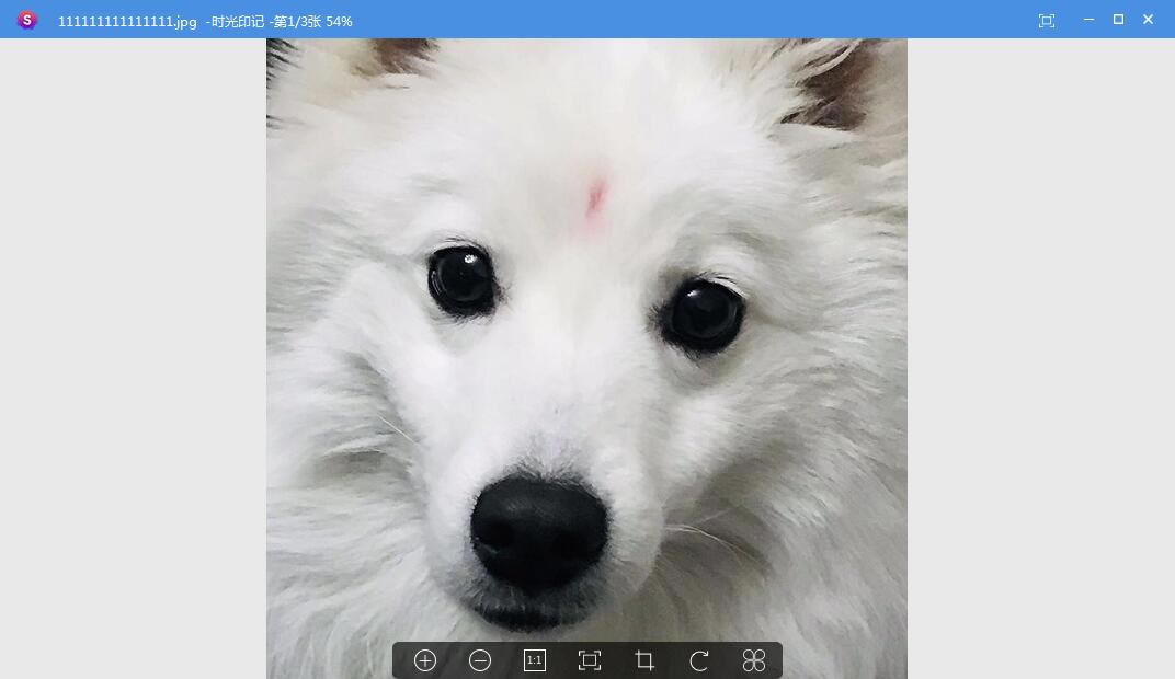 ʱӡر桿ʱӡ v1.0.0.7 ٷ汾