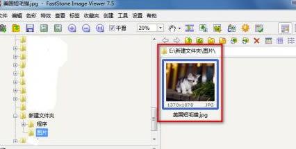 FSViewerİءFSViewerͼµⰲװ v6.7 ٷ汾