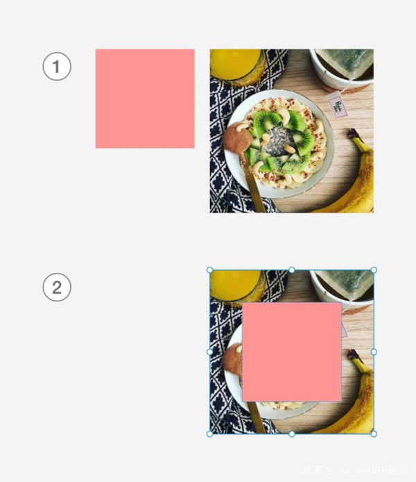 Adobe XD CC2020ôɰ