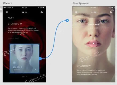 Adobe XD CC2020ô