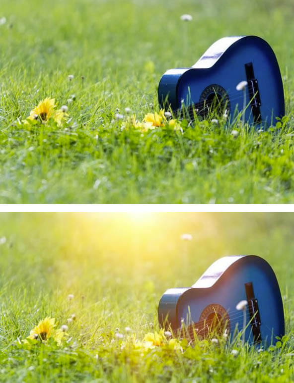 ƹ⹤˾ôλŹЧ